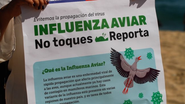 Uruguay declaró emergencia sanitaria por gripe aviar y restringió el movimiento de aves