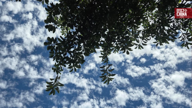 China mejora su calidad del aire y marca un récord histórico