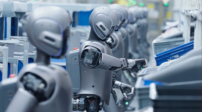 Imagen foto_00000013