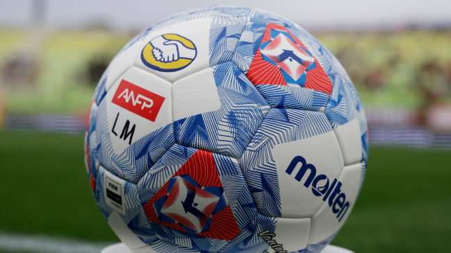 Votación del informe sobre reforma a la ley SADP será prioridad en el Senado