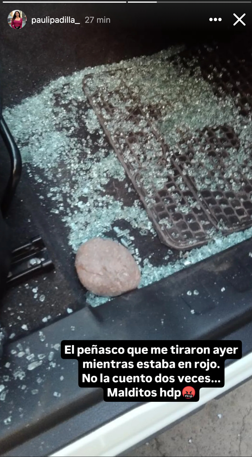 Periodista Paulina Padilla de Chilevisión fue víctima de violento robo