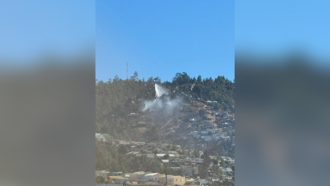 Alerta Roja en Valparaíso por incendio forestal en Cerro Jiménez