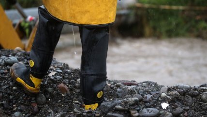 Sistema frontal en La Araucanía provocó cortes de energía y caída de árboles