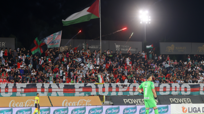 Palestino recibió aprobación para jugar la Sudamericana en La Cisterna