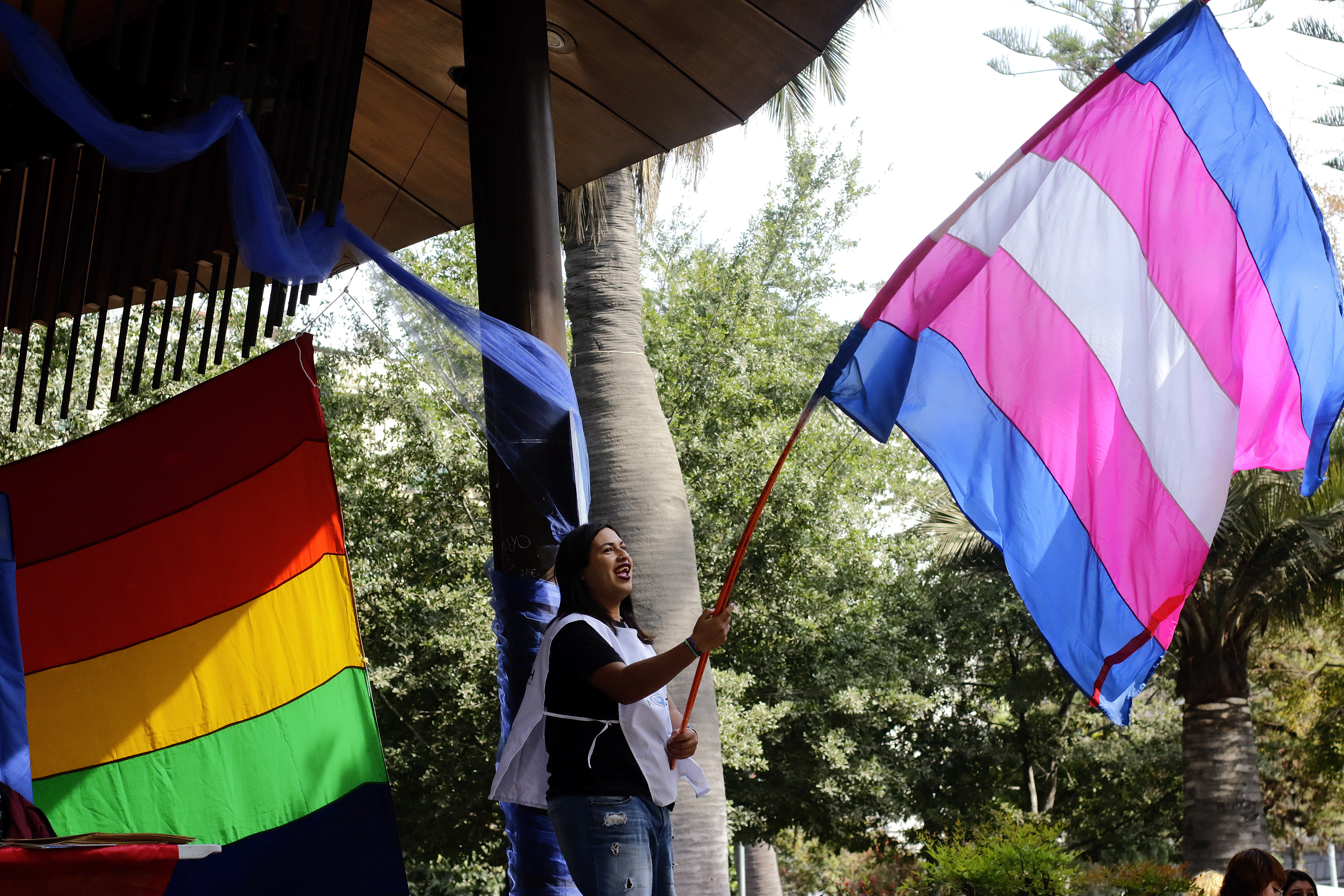 Imagen foto_00000006