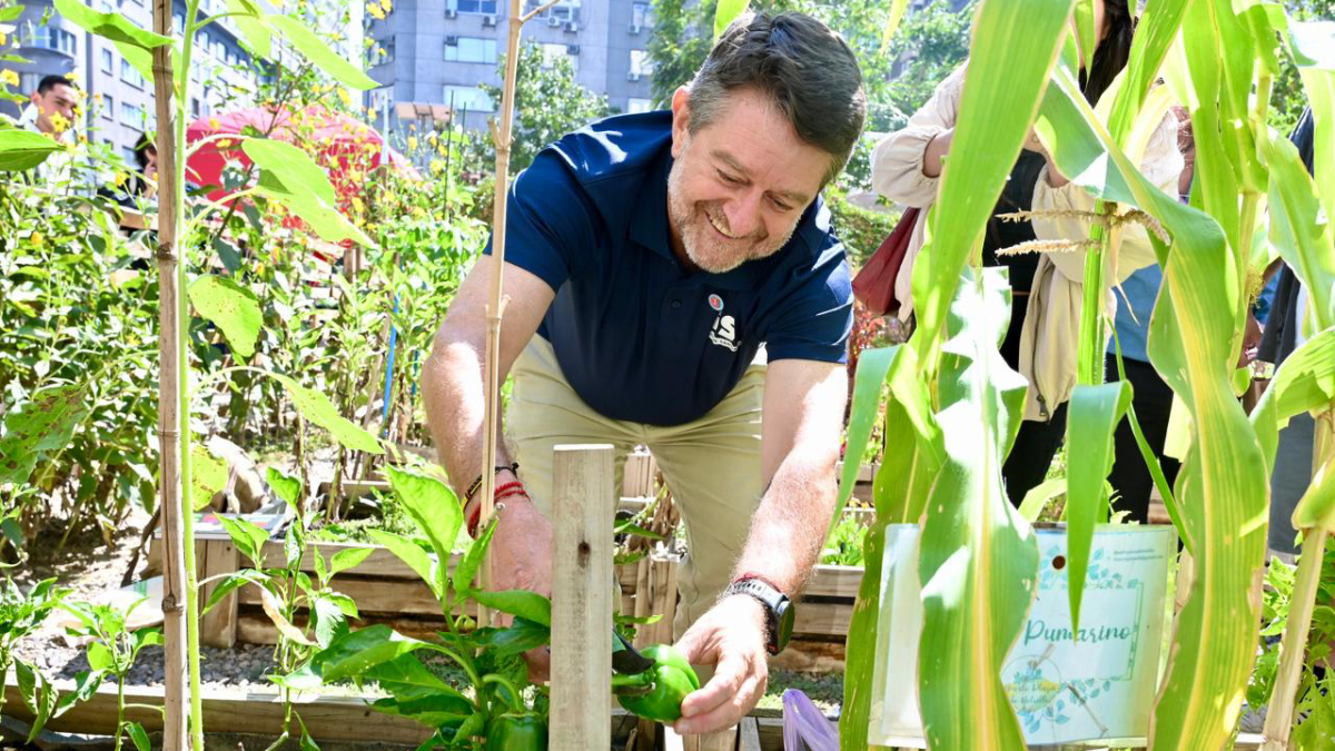 "Nos Compostamos Bien II": Gobierno de Santiago lanzó programa de compostaje comunitario