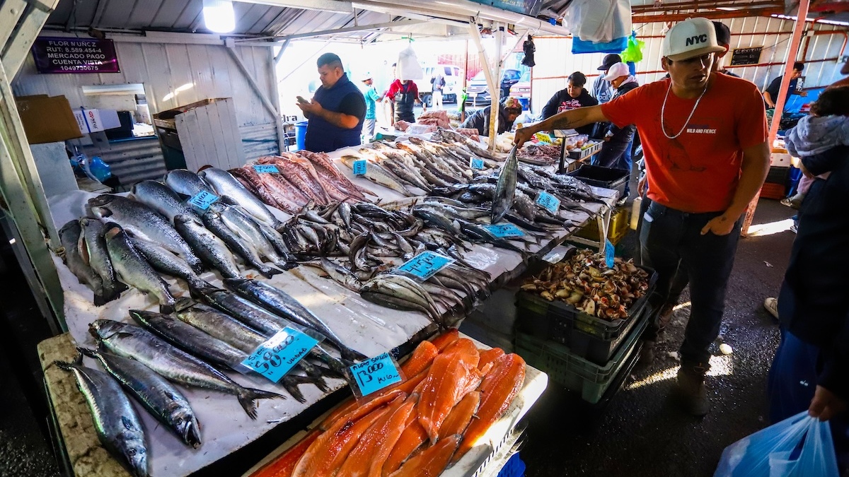 Semana Santa: Vendedores advierten que precios de pescados subirán por alza del combustible