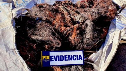 Diputado solicitó a ministra de Energía plan de seguridad por robo de cables