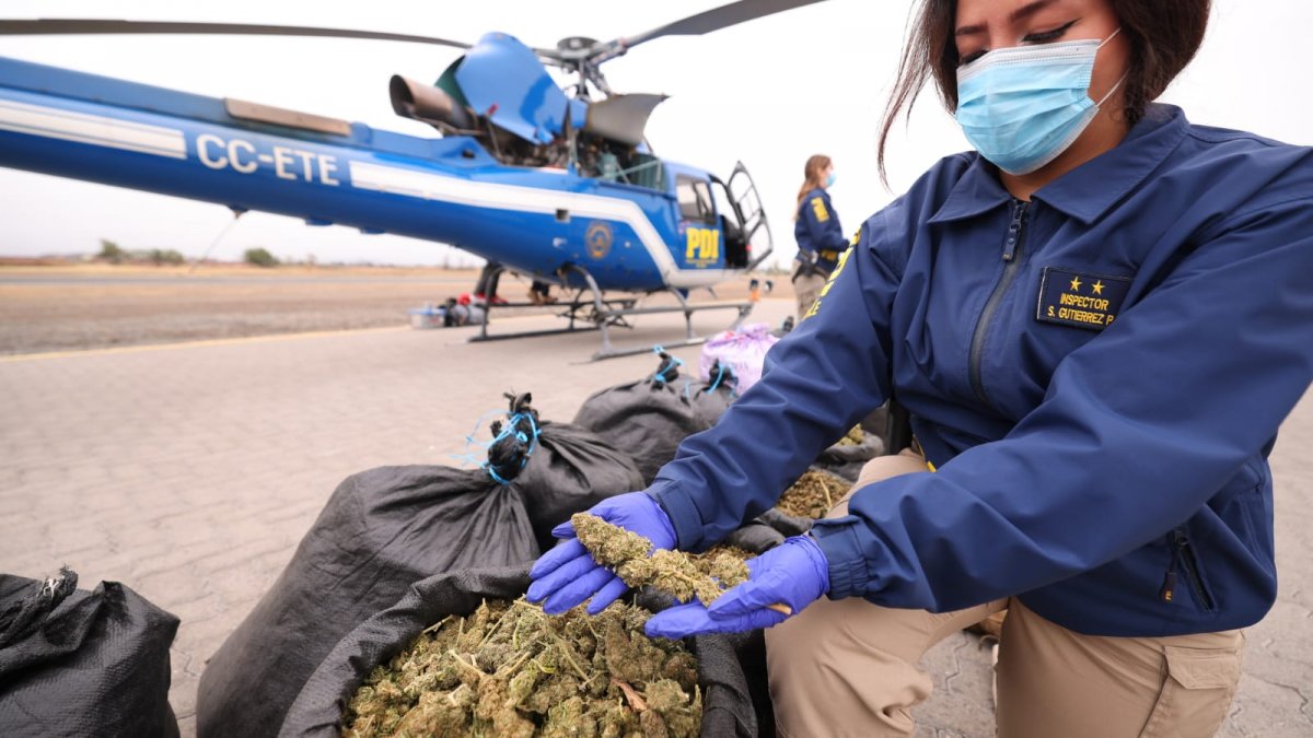 "Plan Cannabis" sacó de circulación más de 58 millones de dosis de droga