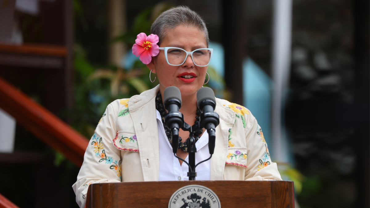 Oposición acusó "indolencia" del Gobierno por remover a directora de SernamEG tras la licencia