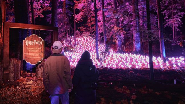 Experiencia del Bosque Prohibido de 