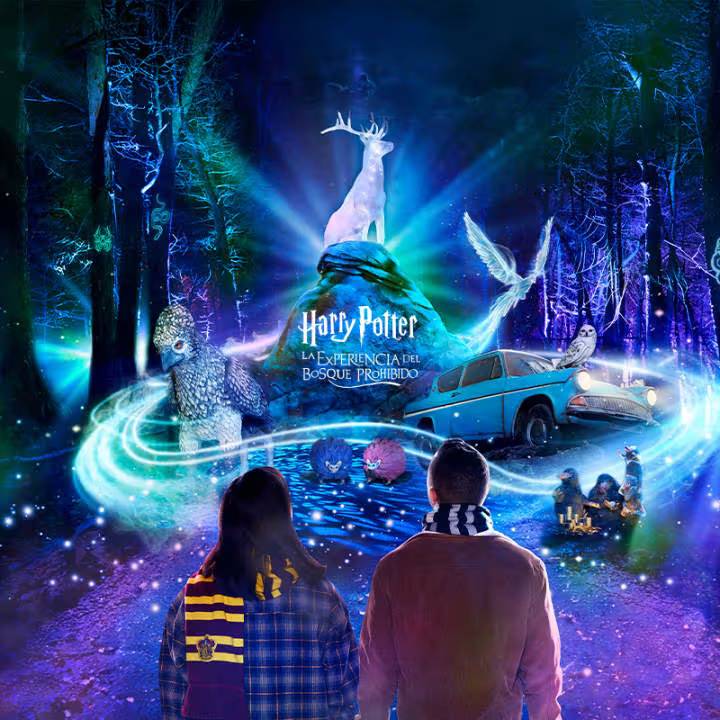 Imagen foto_00000012