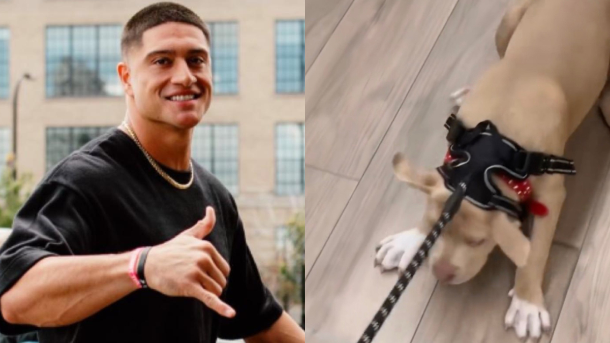 "Es maltrato animal": Sammis Reyes desata ola de críticas por polémico vídeo con su perrita