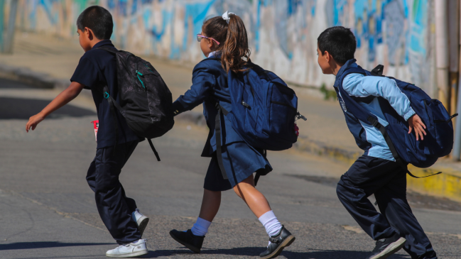 Superintendencia de Educación insta a colegios instalar cámaras y comités de seguridad