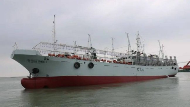 Denuncian a pesquera china por faenas ilegales en aguas chilenas detectadas por satélite