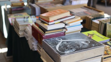   Más de la mitad de los estudiantes en Chile no aprende a leer a tiempo, advierten expertos 