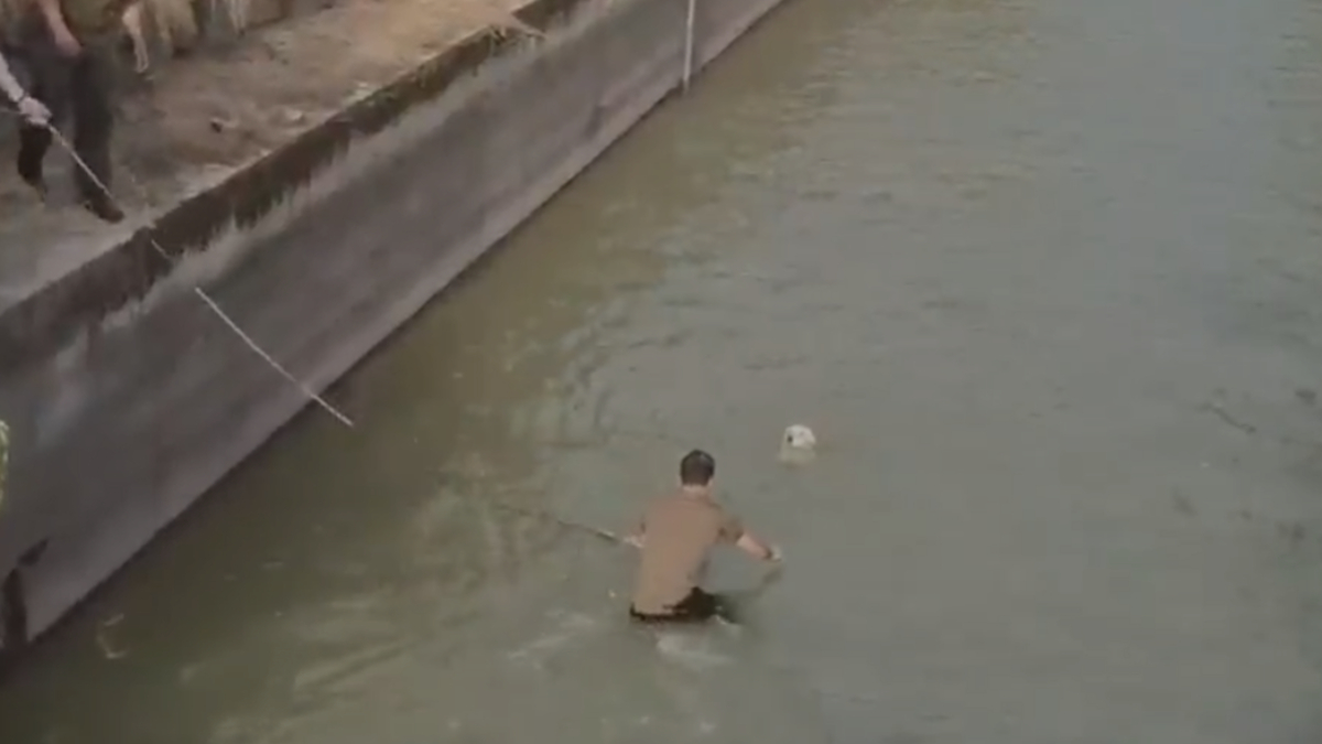 Carabinero salvó a un perrito de las aguas del canal San Carlos