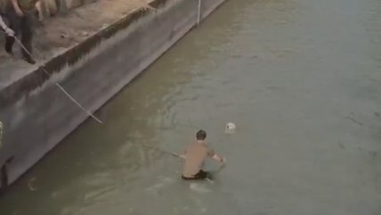 Carabinero salvó a un perrito de las aguas del canal San Carlos