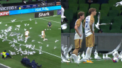 [VIDEO] Una multitud de gaviotas invadió la cancha en mitad de un partido de fútbol en Australia