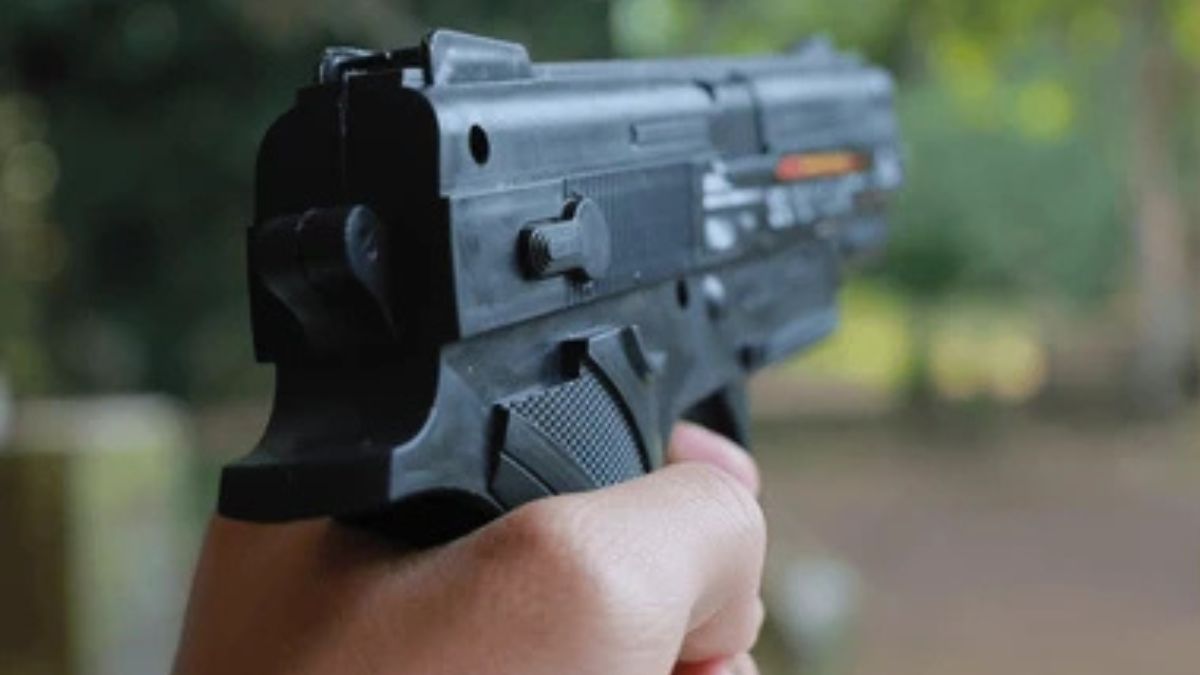 Ancud: Policía marítima controló a niño que portaba una pistola de fantasía