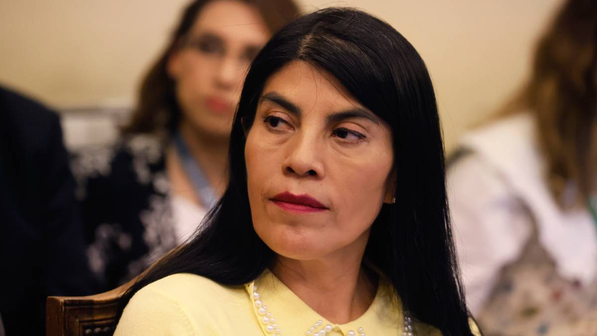 Tribunal liberó a universitarios acusados de atentar contra la ministra Lincolao