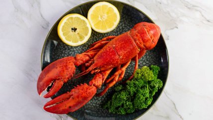 Estudio confirma que langostas sienten dolor y genera debate sobre hervirlas vivas