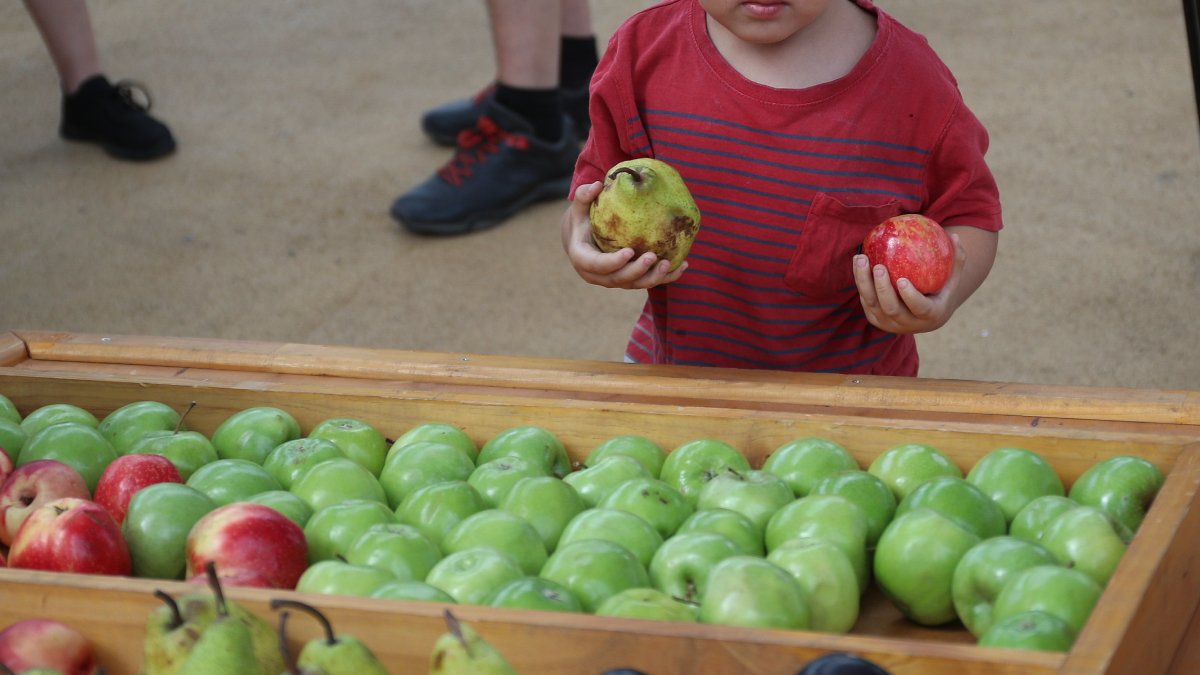 Imagen foto_00000002