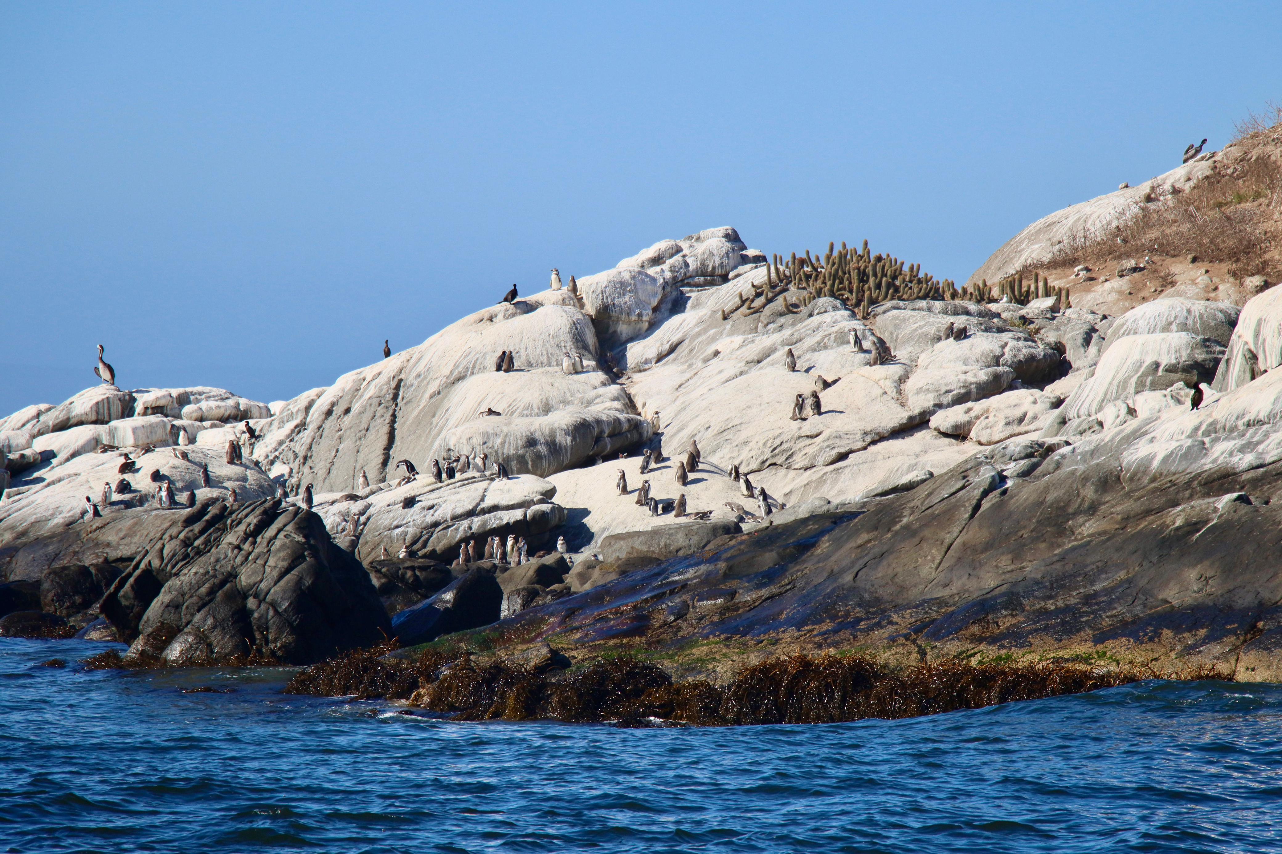 Imagen foto_00000013