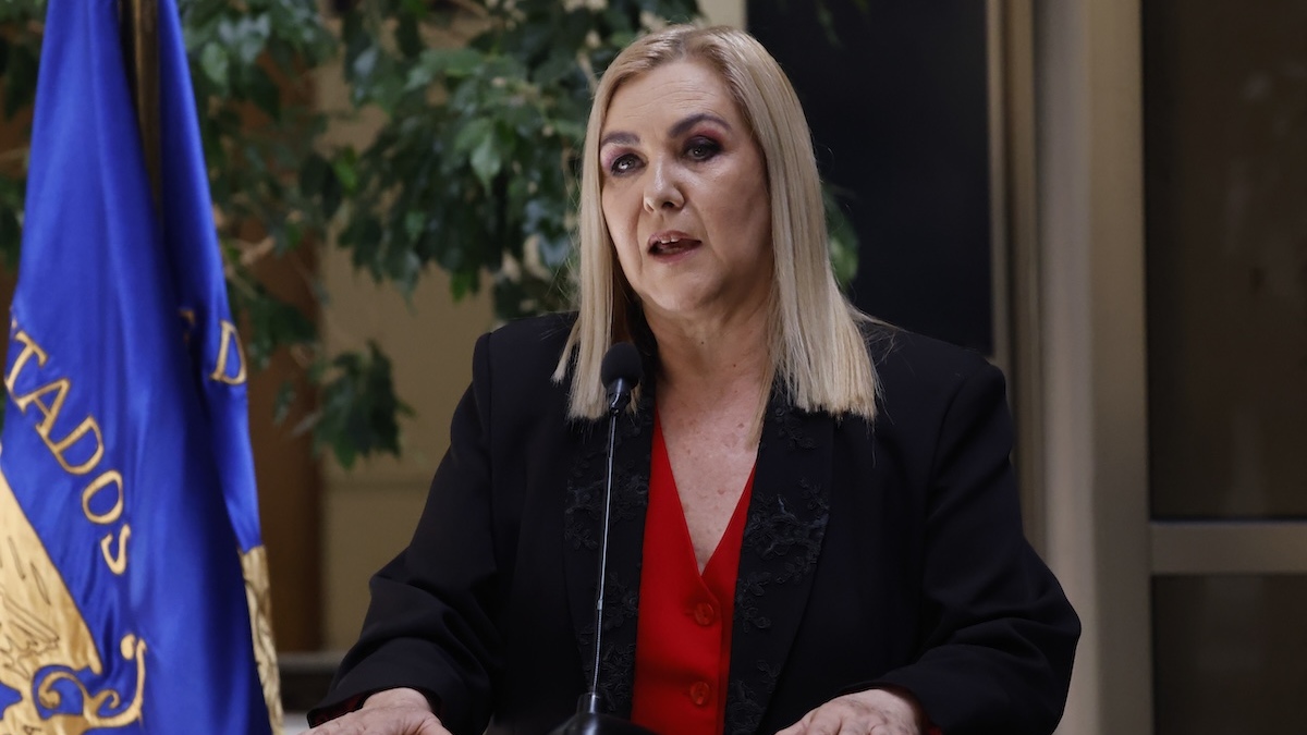 Pamela Jiles condicionó apoyo del PDG a megarreforma: "Favorece a los súper ricos"