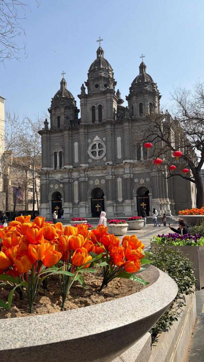 Imagen foto_00000012