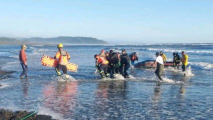Dos fallecidos y un herido dejó volcamiento de embarcación en caleta de Toltén