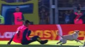 [VIDEO] No lo podían pillar: Travieso perrito hizo de las suyas en el Rosario vs. Tigre