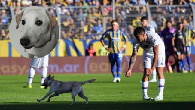 Final feliz para 
