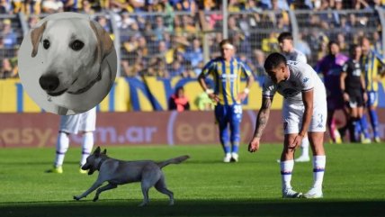   Final feliz para 