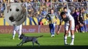Final feliz para 