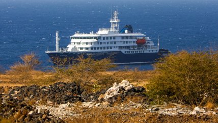 Primeros infectados por hantavirus estuvieron más de 20 días en Chile antes de tomar el crucero