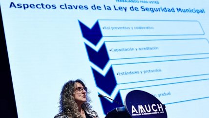 Gobierno y alcaldes oficialistas impulsan "ley corta" de seguridad municipal