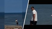Atacó a una foca y habitantes de Hawái lo encontraron y golpearon