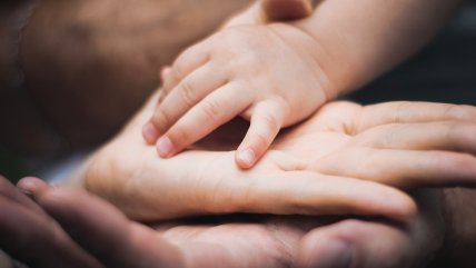   Creciendo Juntos: Plan Crecer en Familia 