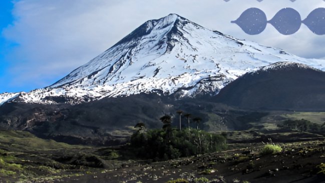 Mujer murió tras caer a quebrada durante senderismo en Volcán Llaima