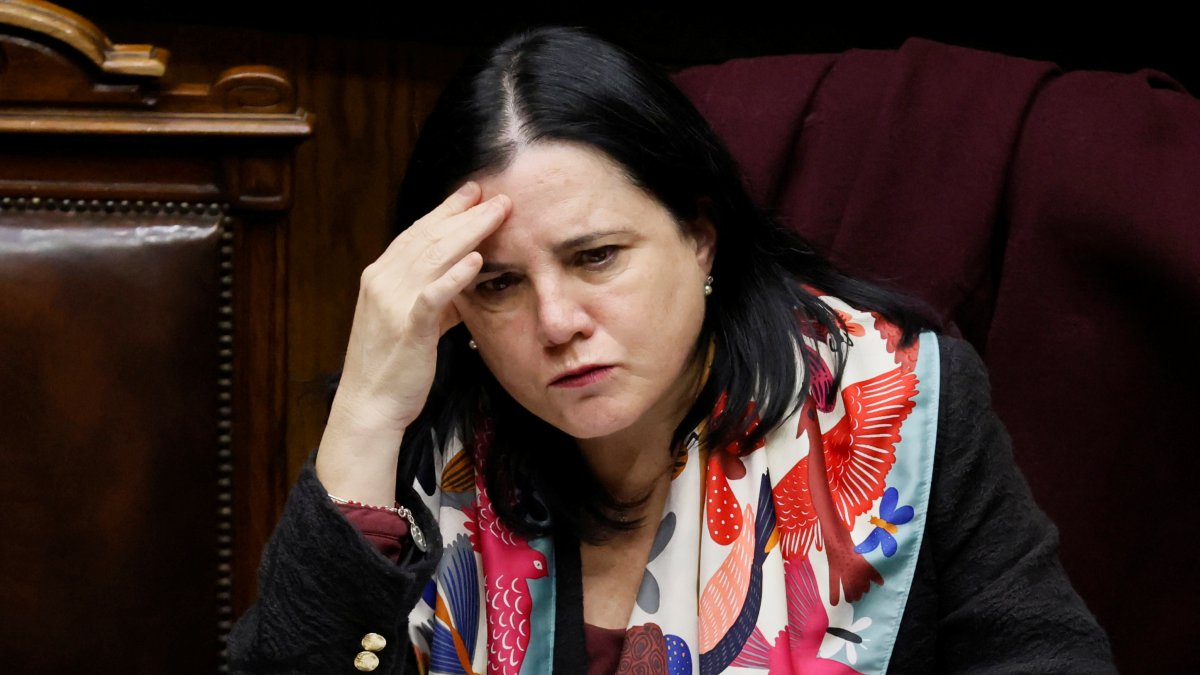 Oposición interpelará a Steinert por "inexistente plan de seguridad"