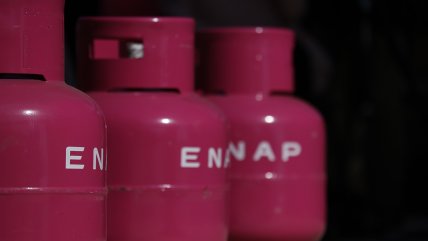 Gobierno habilitó vale de gas licuado: ¿Cómo lo puedes obtener?