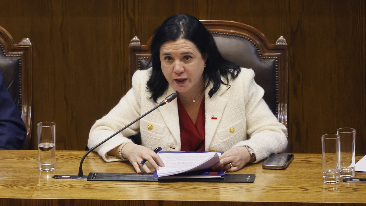 Interpelación a Steinert: ¿Ausencia de plan o prioridad a la acción?