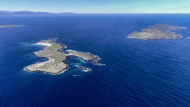 Proyecto Dominga: Greenpeace pide investigar posible caso de corrupción