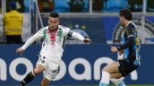 Palestino quedó eliminado en la Copa Sudamericana tras caída ante Gremio en Porto Alegre
