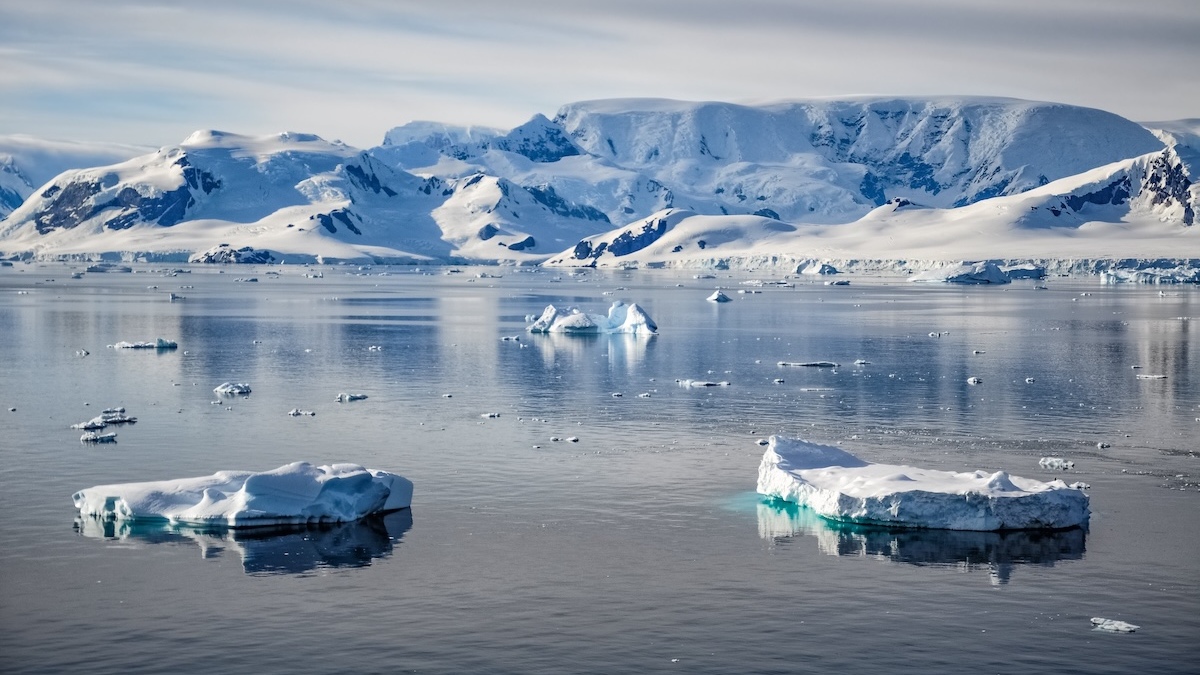 Microplásticos en la Antártica: Científico advierte presencia en el krill y la cadena alimentaria