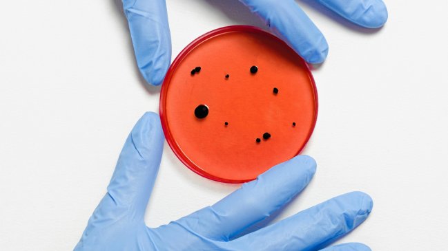 Ciencia logra vulnerar la 