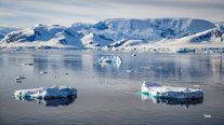 Microplásticos en la Antártica: Científico advierte presencia en el krill y la cadena alimentaria