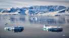 Microplásticos en la Antártica: Científico advierte presencia en el krill y la cadena alimentaria