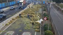 Trágico accidente: caída de carga mató a mujer en la Autopista Central